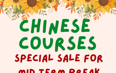 Special Sale for Mid Term break – IBDP, IBMYP, IBPYP, IGCSE, AP-Chinese Reading and Writing